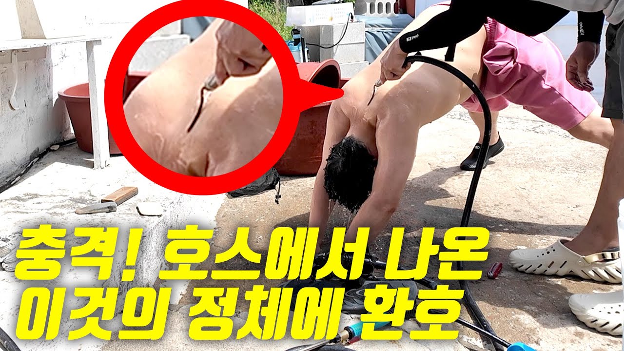 [오지:객52-황제도] 찍혀버렸습니다! 등목 촬영 하다가 발견한 충격적인 이것의 실체에 모두... 환호