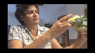 Overnight Pickles, By Naomi Youngstein, Violinist