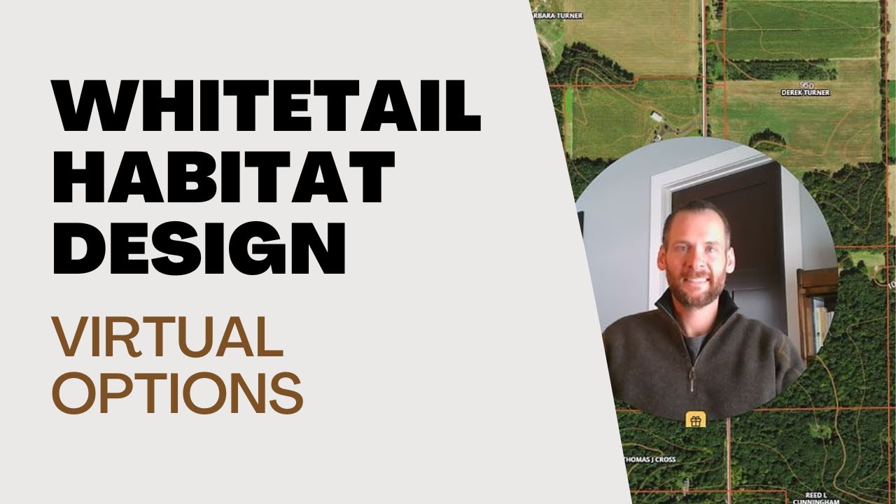Habitat Design - Virtual Options