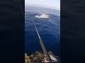 Almost Fell 😳   #gianttravel #foryou #fishing