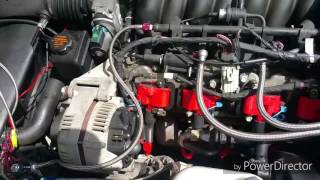 Celebrity C5 corvette electronic issue Profile