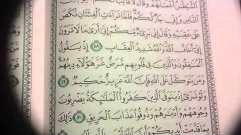 الانفال ص ١٨٣ تصحيح تلاوة