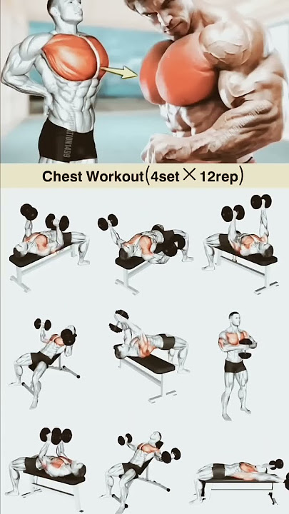 Best chest workout with dumbbells #best #chest #workout #with #dumbbells