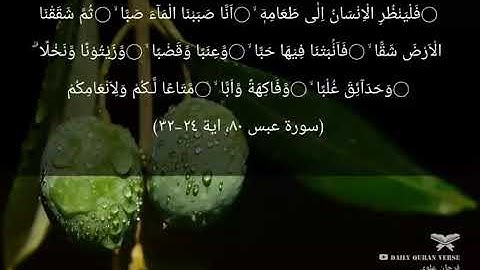 #daily_quran_verse | (Abasa 80: Verse 24-32) | (سورة عبس ٨٠، اية ٢٤-٣٢)