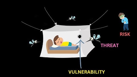 Difference in VULNERABILITY vs THREAT vs RISK