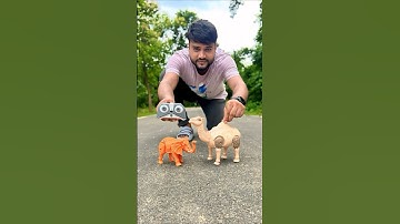 Rc Elephant Aur Remote wala Camel 🐪 ki Video 😅