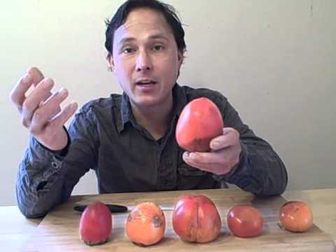 Five Varieties of Persimmons aka Kaki Fruit