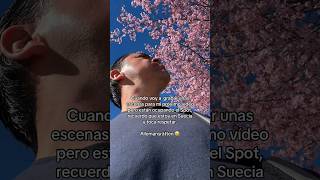 Hay que respetar Allemansrätten 😅🇸🇪