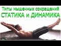 Комплекс изометрических упражнений с собственным весом! Типы мышечных сокращений Статика и Динамика!