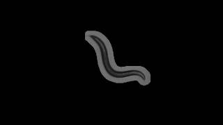 CB4856 C. elegans Wild Isolate (Hawaii, USA) | 2011-03-10T11:28:00+00:00 (speed up 8x)