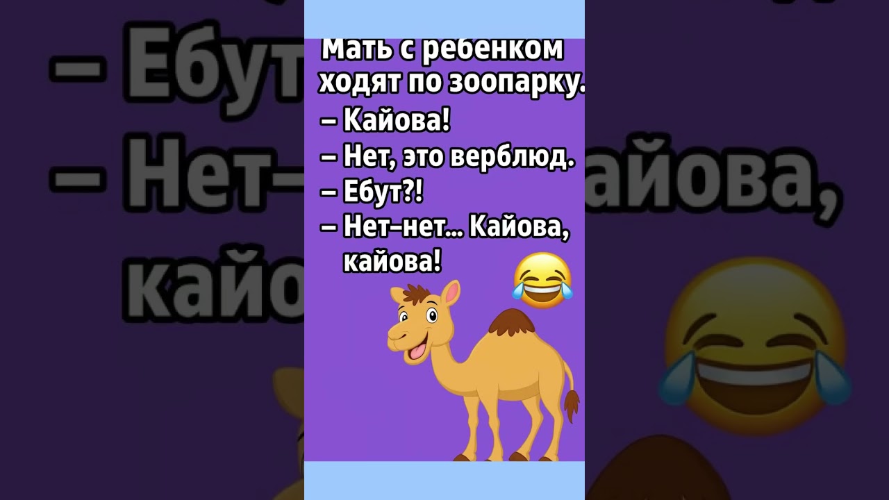 🐫 Кайова! Анекдот про маму и ребёнка в зоопарке 😂 
