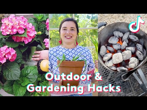 14 Outdoor & Gardening Hacks Everyone Should Know 🌸  | TikTok Compilation | Southern Living