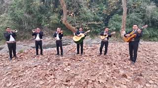 Serenata para angy con mucho cariño Mariachi HUEJUTLA