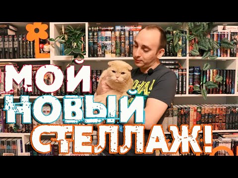 БОЛЬШОЙ ОБЗОР ЛУЧШЕГО В МИРЕ КНИЖНОГО СТЕЛЛАЖА 