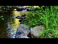 Bruit de Rivière qui coule doucement pour se reposer