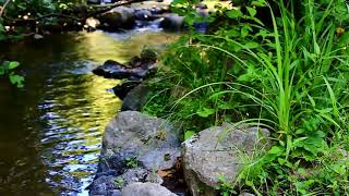 Bruit de Rivière qui coule doucement pour se reposer