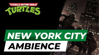 Night time in New York with TMNT -  New York City Night Ambience - City Sounds, Relaxing Background screenshot 2