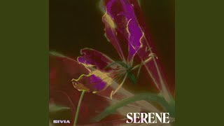 Video thumbnail of "SIVIA - Serene"