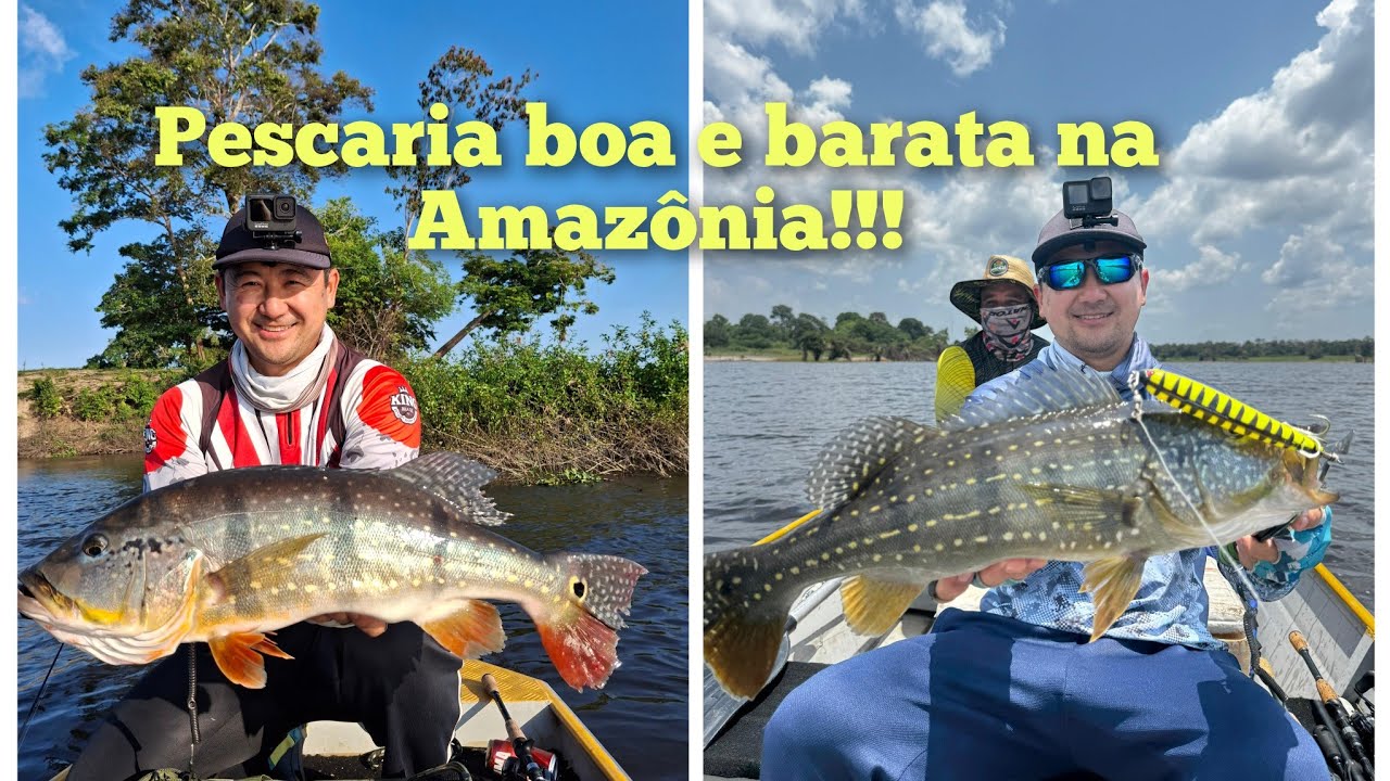 Pescaria rio Urubu parte 1#pescaria barata #pescaria amazonia #fishing #pescaria #tucunare 