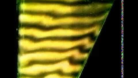 wave attractor generated by oscillating a stratified fluid