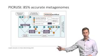 Microbiome Discovery 20: PICRUSt and predicting functions