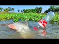 Natural Fishing Technique | Beautiful Village Pond Fishing With Plastic Bottle | Hook Fishing Trap