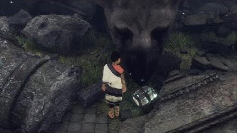 The Last Guardian - Stuck on tree branch & acquire barrel