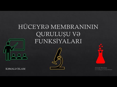 Video: Ribosomların quruluşu və funksiyası nədir?