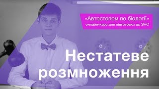картинка: Нестатеве розмноження – Підготовка до ЗНО – Біологія