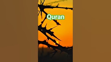 القارئ اسلام صبحي حالات واتس قران كريم سورة المؤمنون #اسلام_صبحي #قرآن #قران_كري #quran