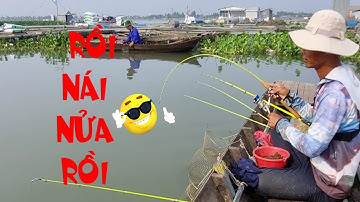 🐟Fishing 224🐟Câu Cá Dảnh Ngoài Bè Trúng Ổ Cá Rồi Ngồi 1 Chổ Lên Cá Đã Tay Toàn Hàng Khủng🐟