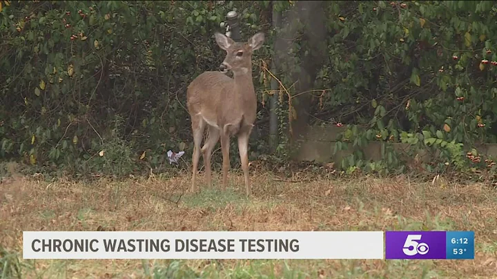 Hunters encouraged to get deer tested for Chronic Wasting Disease as modern gun season begins