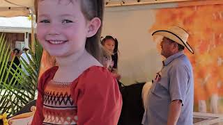 Pony rides at pumpkin patch 