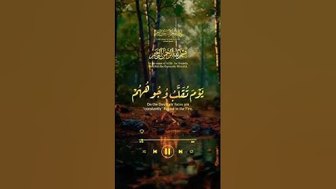 ⚜️سورة الأحزاب⚜️الآية 66⚜️يوم تقلب وجوههم في النار يقولون ياليتنا أطعنا الله وأطعنا الرسولا⚜️#لايك