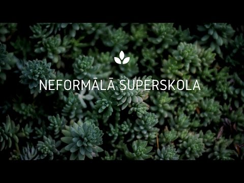 Neformālā superskola īsumā