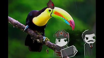 Responding To AltHistoryHub