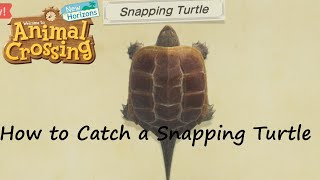 Animal Crossing: New Horizons - How to Catch a Snapping Turtle screenshot 2