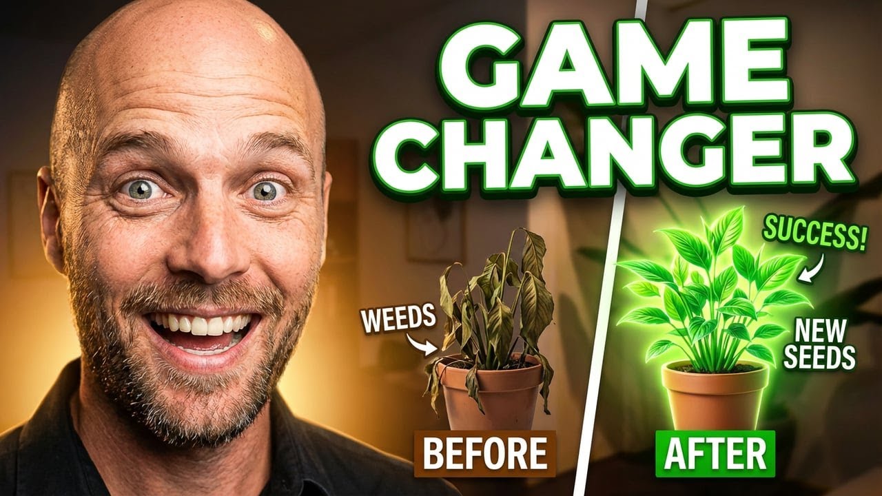 Breaking Bad Habits | The Real Work Required