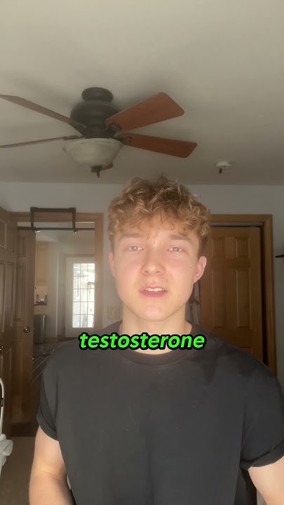supplements-i-take-to-boost-my-testosterone-youtube
