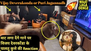 Vijay Deverakonda's reaction dog enjoys 'Waat Laga Denge ...