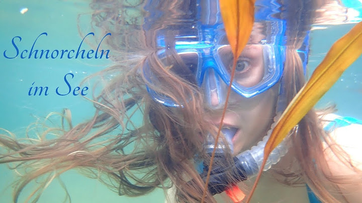 Schnorcheln im See 🐟 [August 2018]