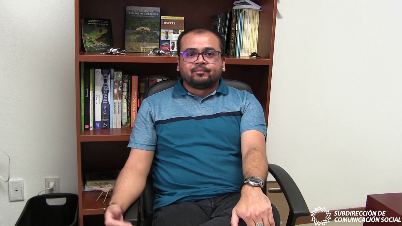 Efecto del Cambio Climático en los InsectosDr. Alfredo Ramírez