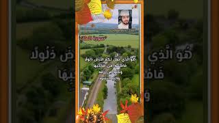 آيات طيبه مباركه من (سوره الملك)  للقارئ_حسام المعصبي 