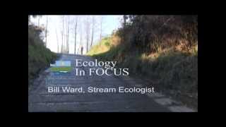 Famous Ecology in Focus: Bill Ward, Stream Ecologist Wealth