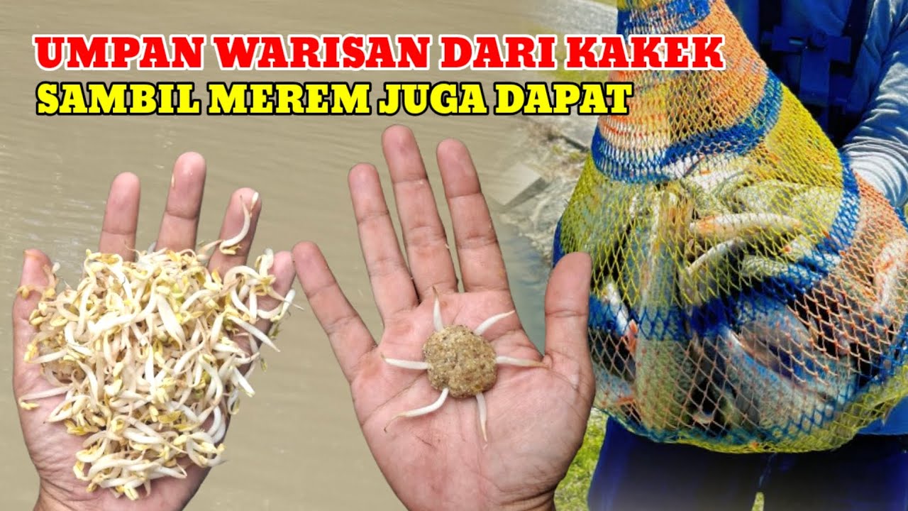 TES UMPAN GRANAT‼️SEKALI LEMPAR IKAN LANGSUNG AMBYARR