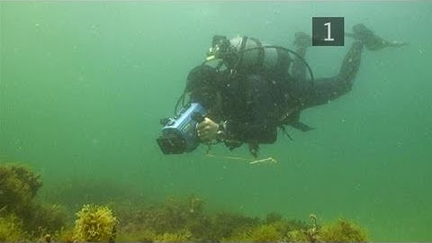 How To Make An Underwater Video