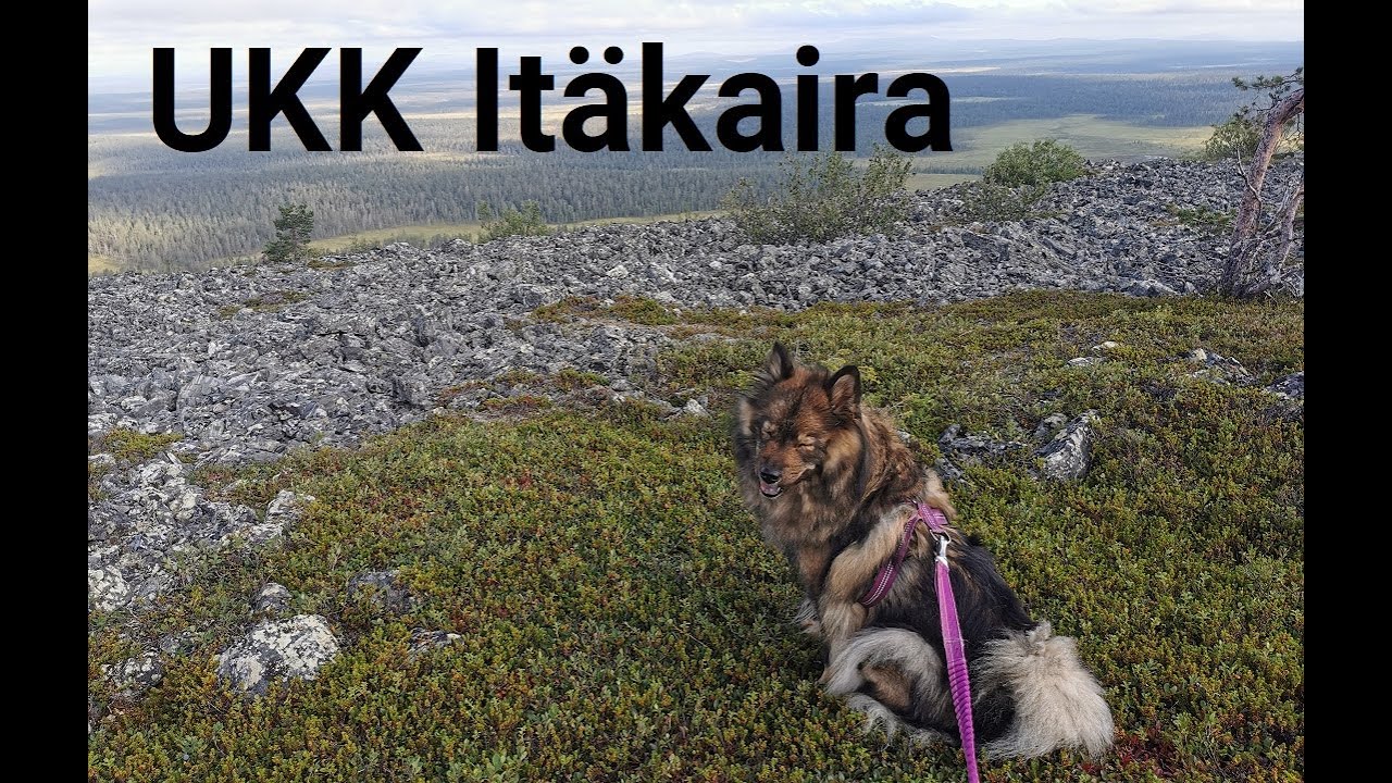 UKK | Kemihaara - Naltio - Nuortti - Korvatunturinmurusta | vaellus