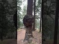 Mount Tabor Park - Portland, Oregon