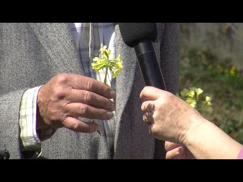 Video: Fľaša na rastliny: užitočné vlastnosti, použitie
