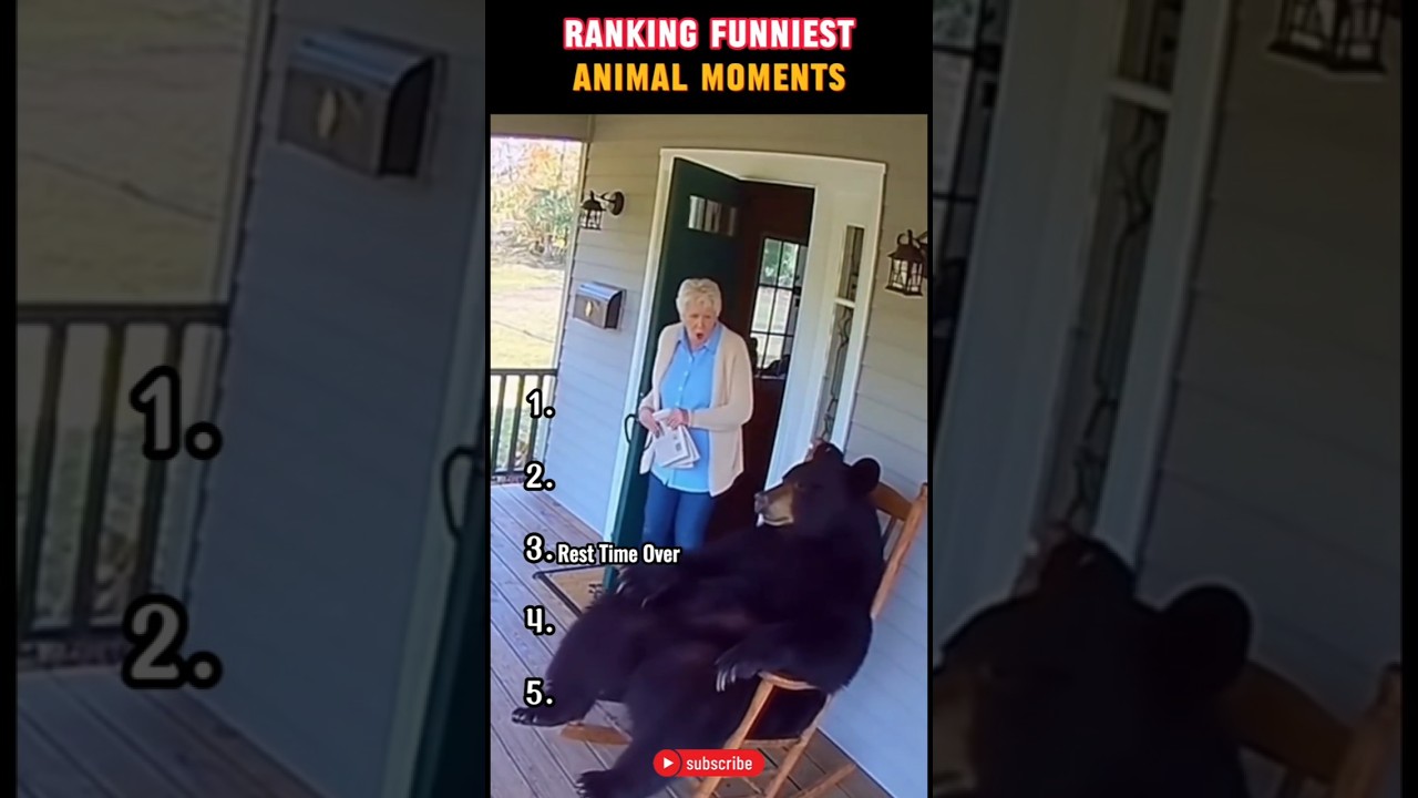 Ranking Funniest Animal Moments 